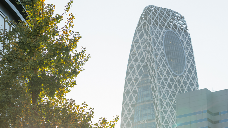 Things to Buy in Tokyo That Aren't Touristy