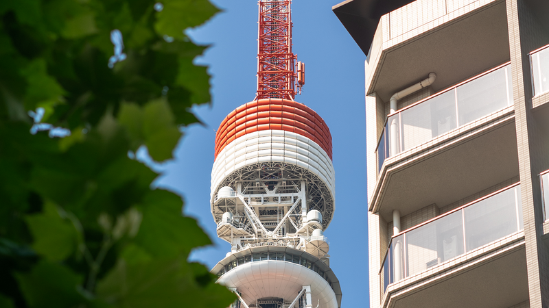 Things to Do in Tokyo Tower: The Complete 2026 Guide