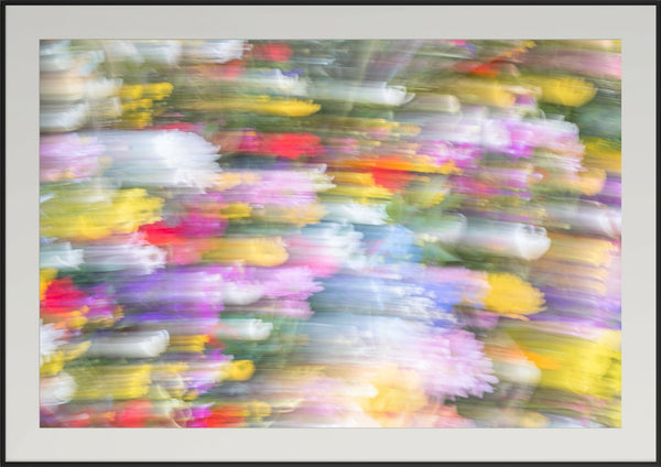 Premium Japan Photo Print — Color in Motion