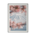 Framed artwork of Mount Fuji with cherry blossoms in the foreground on a white background cheku Premium Photography Print Fuji Cherry Blossoms