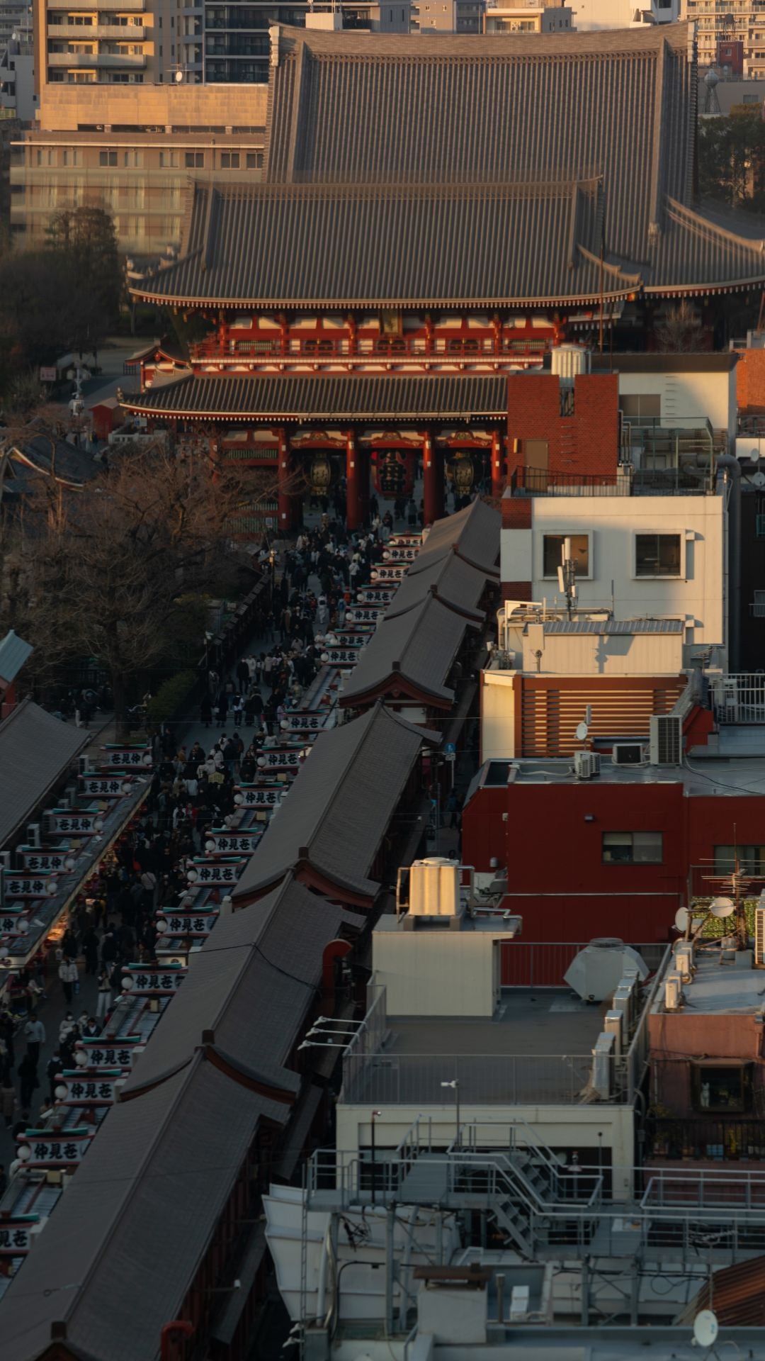 Osaka & Nara — Travel Guide
