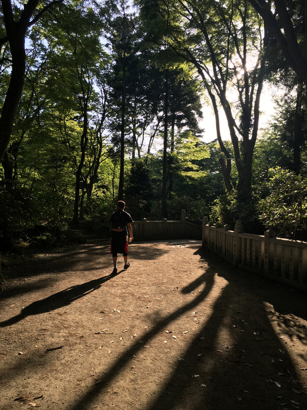 Day Trips from Tokyo — Travel Guide