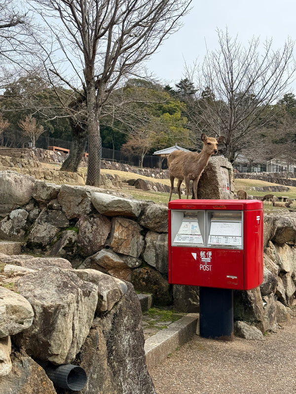 Osaka & Nara — Travel Guide