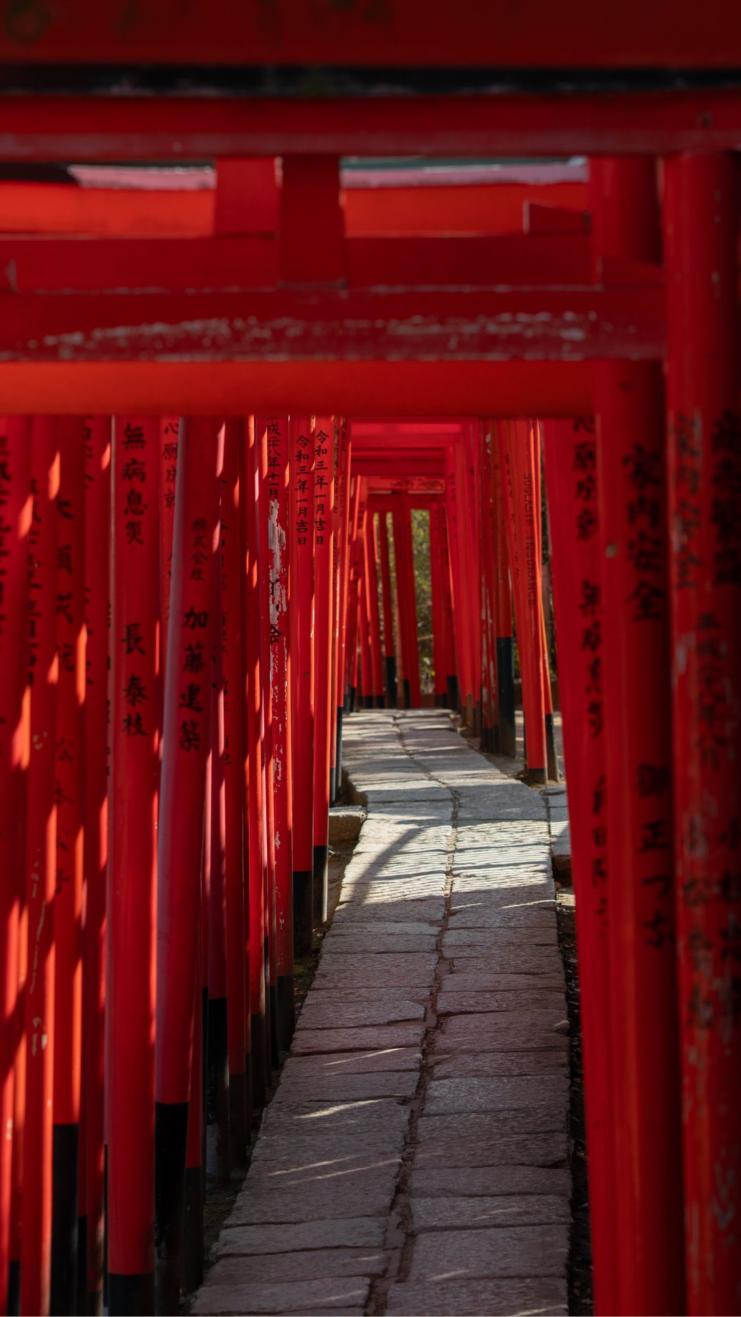 9 Days in Tokyo — Travel Guide