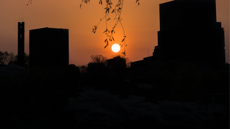 Japan in March: Weather, Crowds, and What Japanese Travelers Actually Do