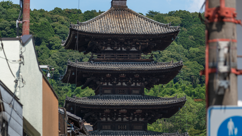 Japan in September: Weather, Crowds, and What Japanese Travelers Actually Do