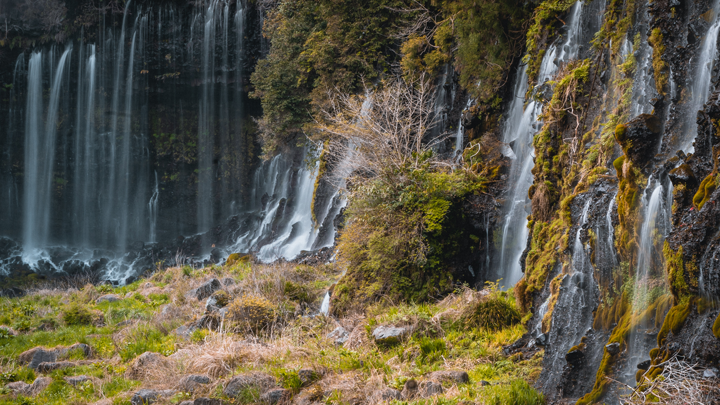 Japan in October: Weather, Crowds, and What Japanese Travelers Actually Do