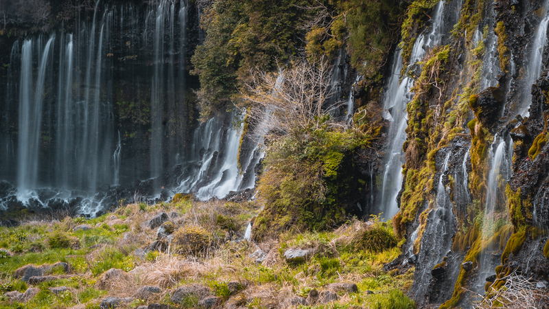 Japan in October: Weather, Crowds, and What Japanese Travelers Actually Do
