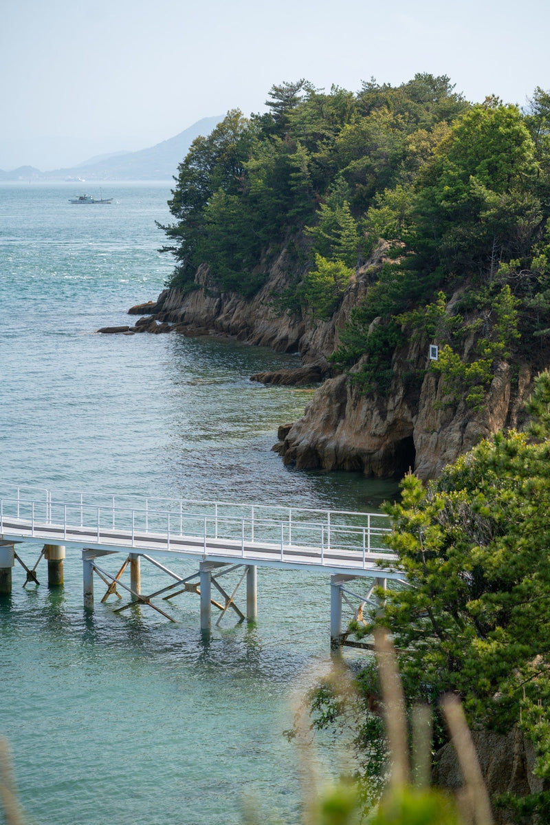 Japan Summer Packing List: What to Pack for June, July & August