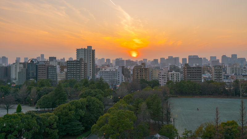 13 Tokyo Neighborhoods to Save Before Your Trip