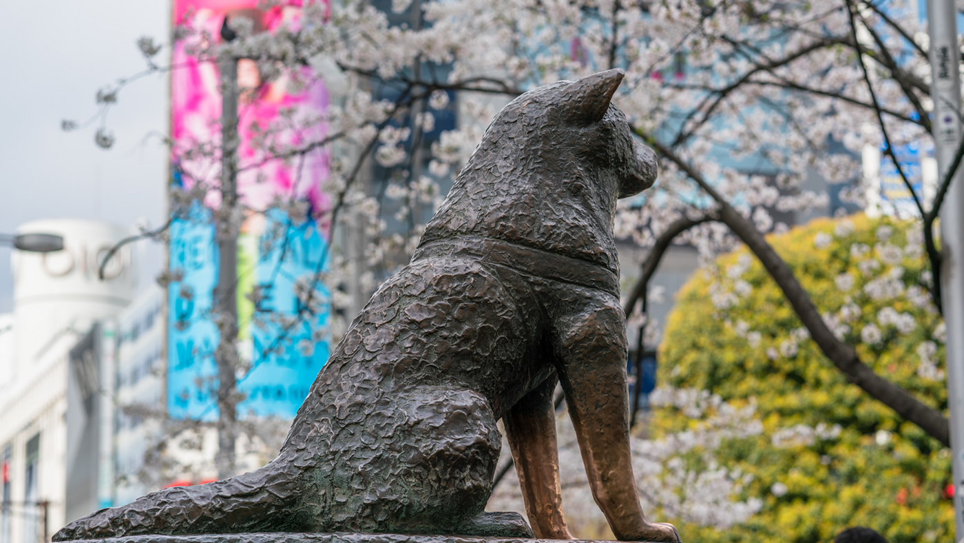 Best Souvenirs to Buy in Shibuya (Curated by Tokyo Locals)