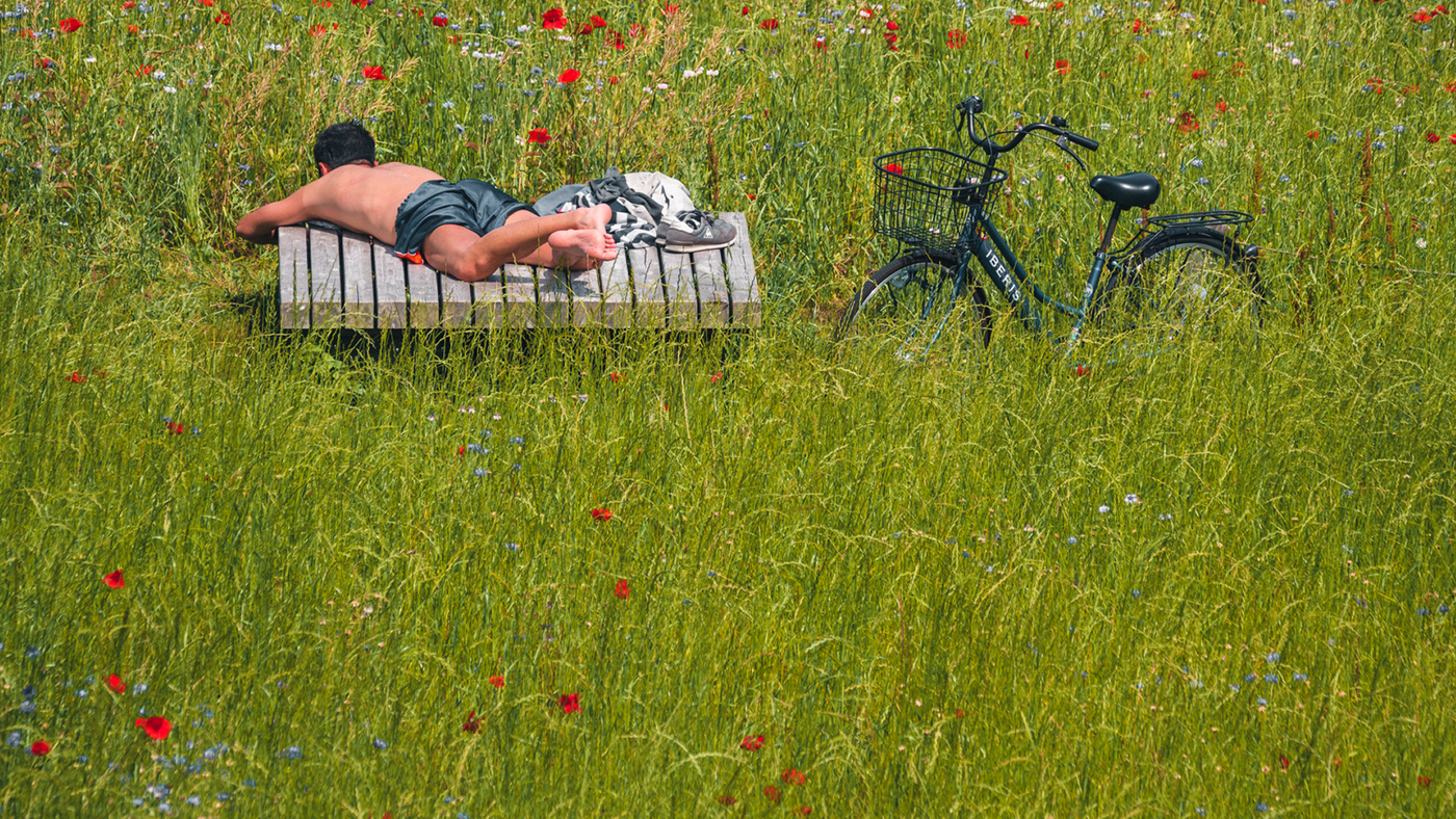 Japan in May: Weather, Crowds, and What Japanese Travelers Actually Do