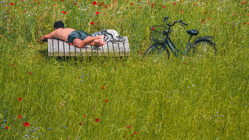 Japan in May: Weather, Crowds, and What Japanese Travelers Actually Do