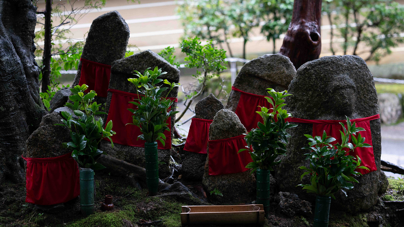 Best Souvenirs to Buy in Arashiyama (Curated by Tokyo Locals)