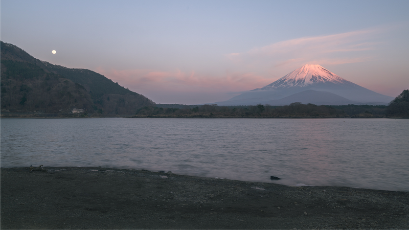 Mount Fuji Day Trip from Tokyo: What Japanese Visitors Actually Do