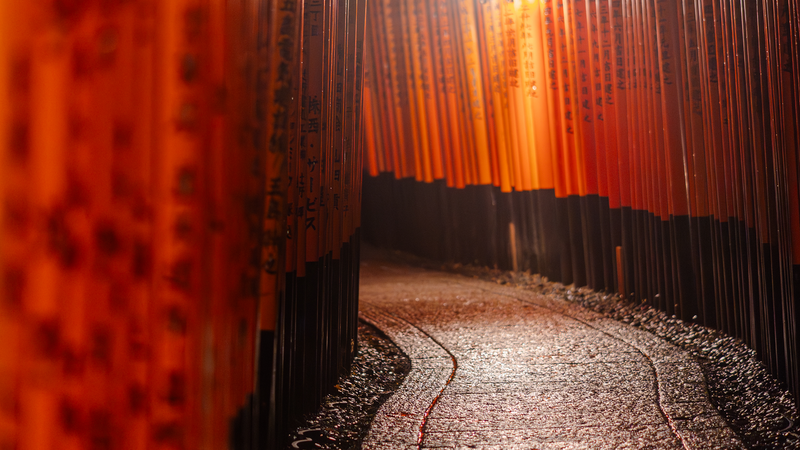 Things to Do in Fushimi Inari: The Complete 2026 Guide
