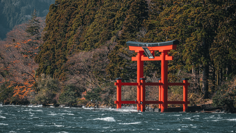 Hakone Day Trip from Tokyo: What Japanese Travelers Actually Do