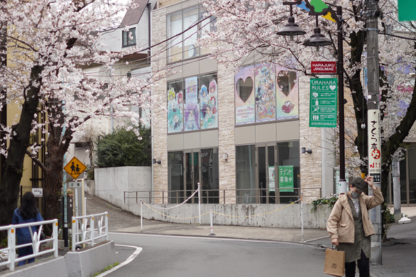 Where Japanese Locals Actually Eat in Harajuku