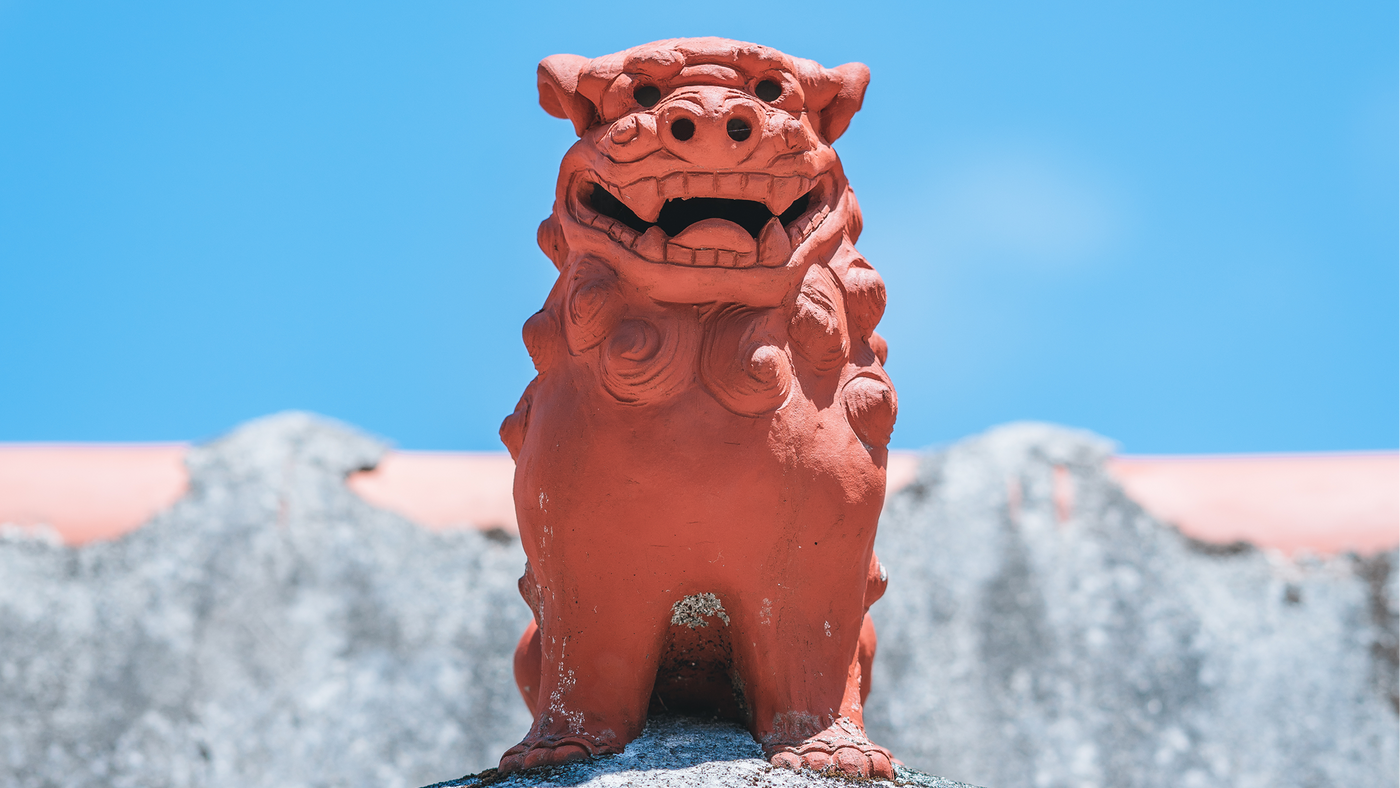 Japan Souvenir Plates: What Japanese Pottery Communities Recommend