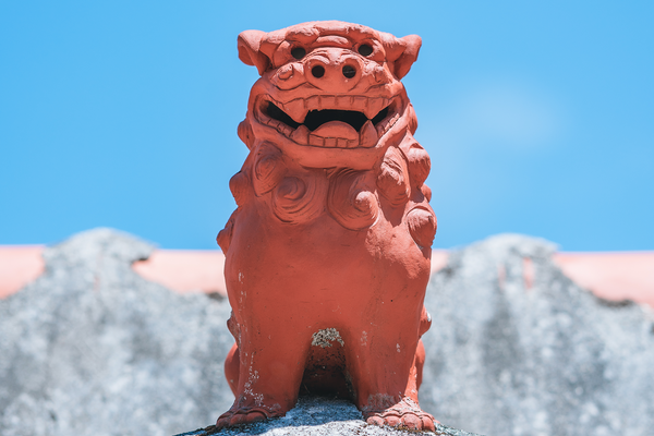 Japan Souvenir Plates: What Japanese Pottery Communities Recommend