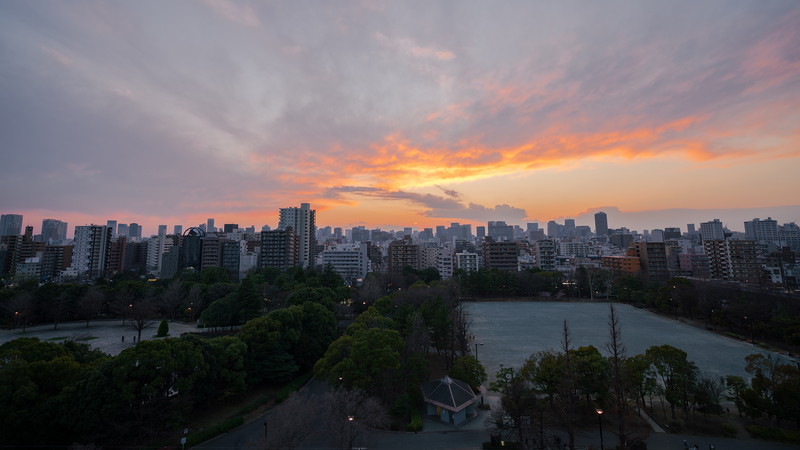 Japan For First-Time Visitors: Everything Japanese Sources Wish Tourists Knew