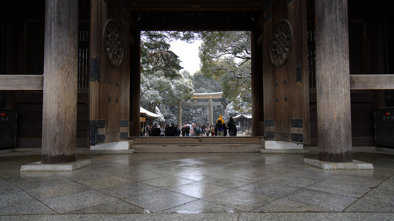 Things to Do in Meiji Shrine: 2026 Guide From Tokyo Locals
