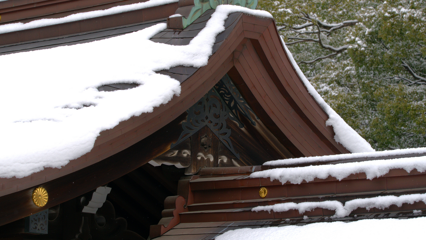 Where Japanese Locals Actually Eat in Meiji Shrine
