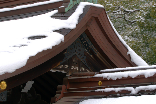 Where Japanese Locals Actually Eat in Meiji Shrine