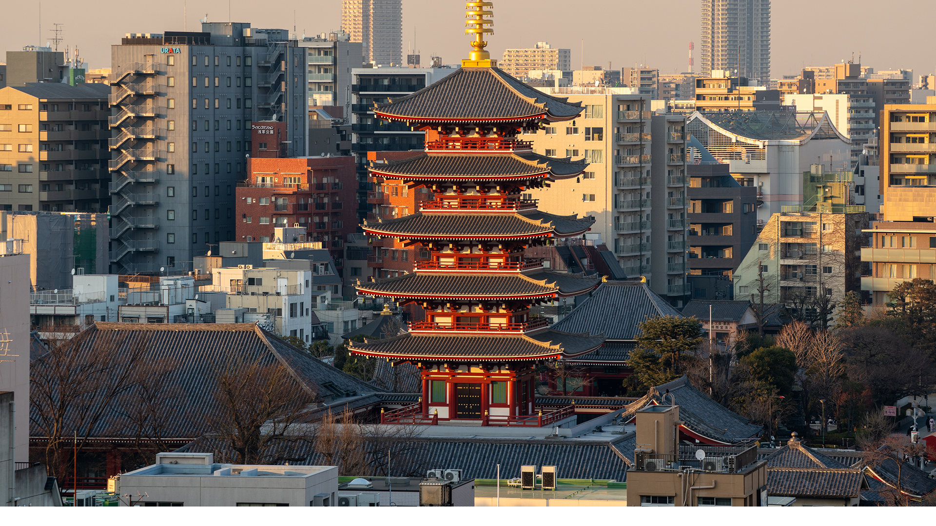Things to Do in Senso-ji Temple: 2026 Guide | cheku