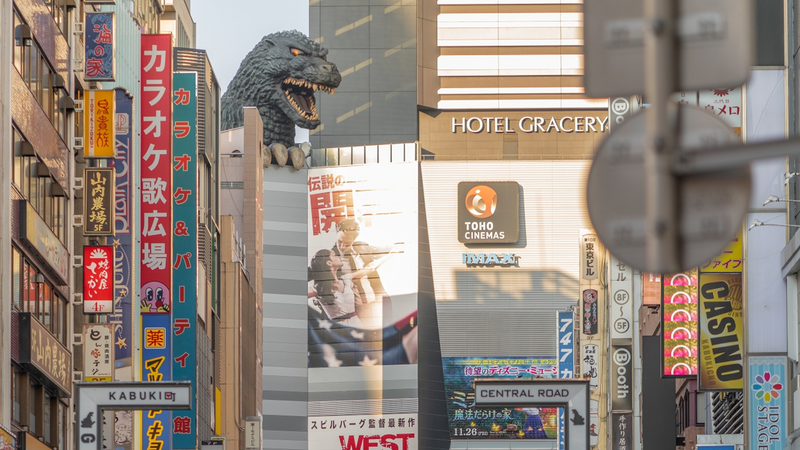 When to Go to Japan vs When to Avoid: The Honest Answer From Japanese Sources