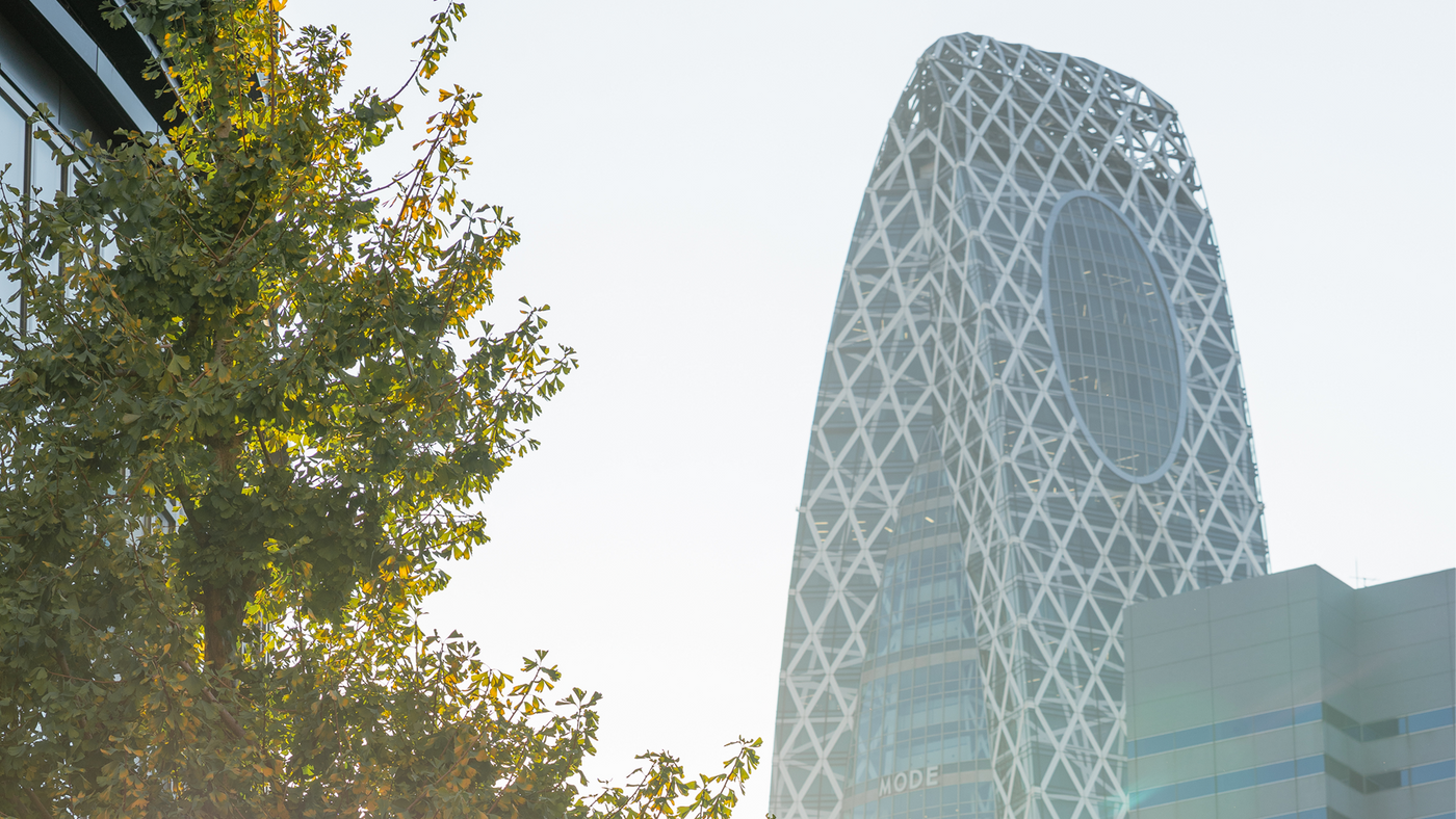 Things to Buy in Tokyo That Aren't Touristy
