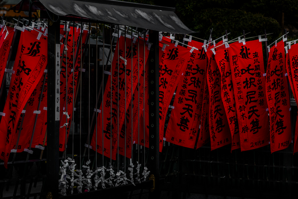 Authentic Japanese Souvenirs: What Locals Buy vs. Tourist Bait