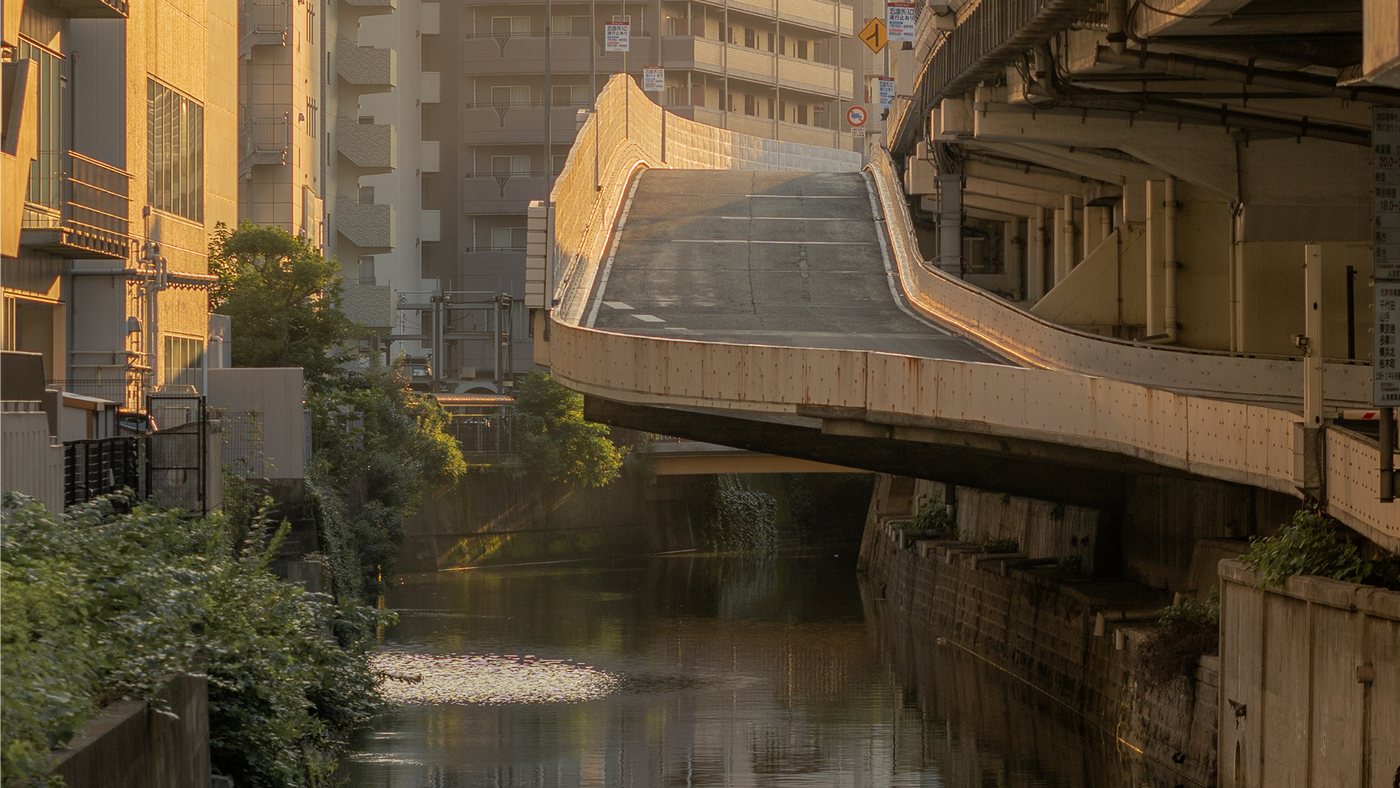 Best Things to Buy in Japan in 2026: What Japanese Sources Recommend