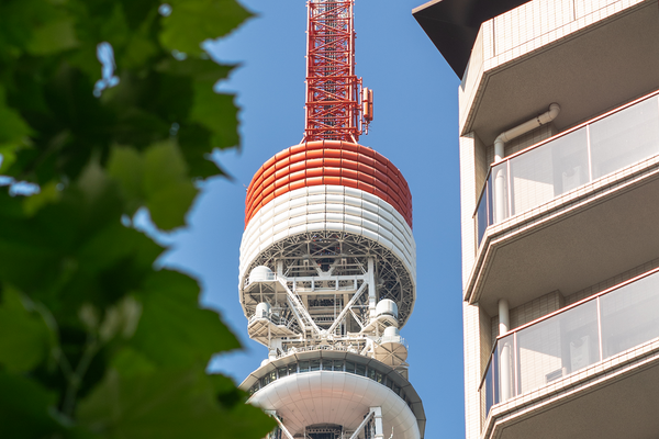 Things to Do in Tokyo Tower: The Complete 2026 Guide