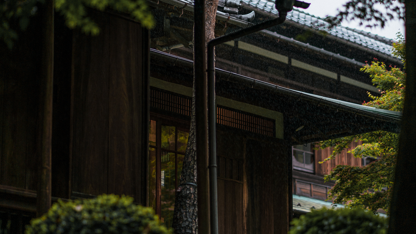 Tokyo to Kyoto: How Japanese Travelers Actually Make the Trip