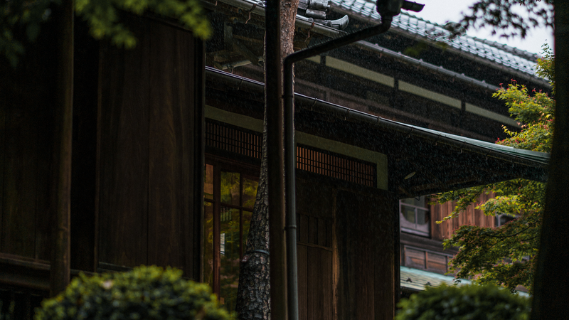 Tokyo to Kyoto: How Japanese Travelers Actually Make the Trip