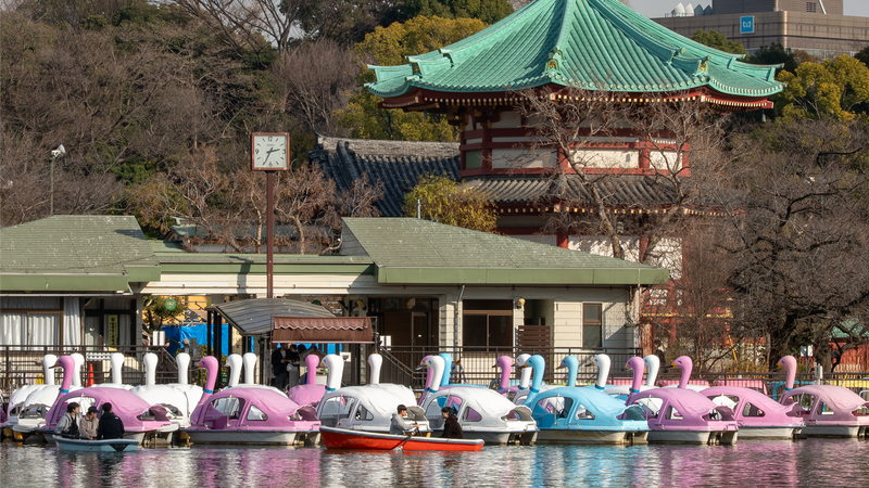 Things to Do in Ueno Park: The Complete 2026 Guide