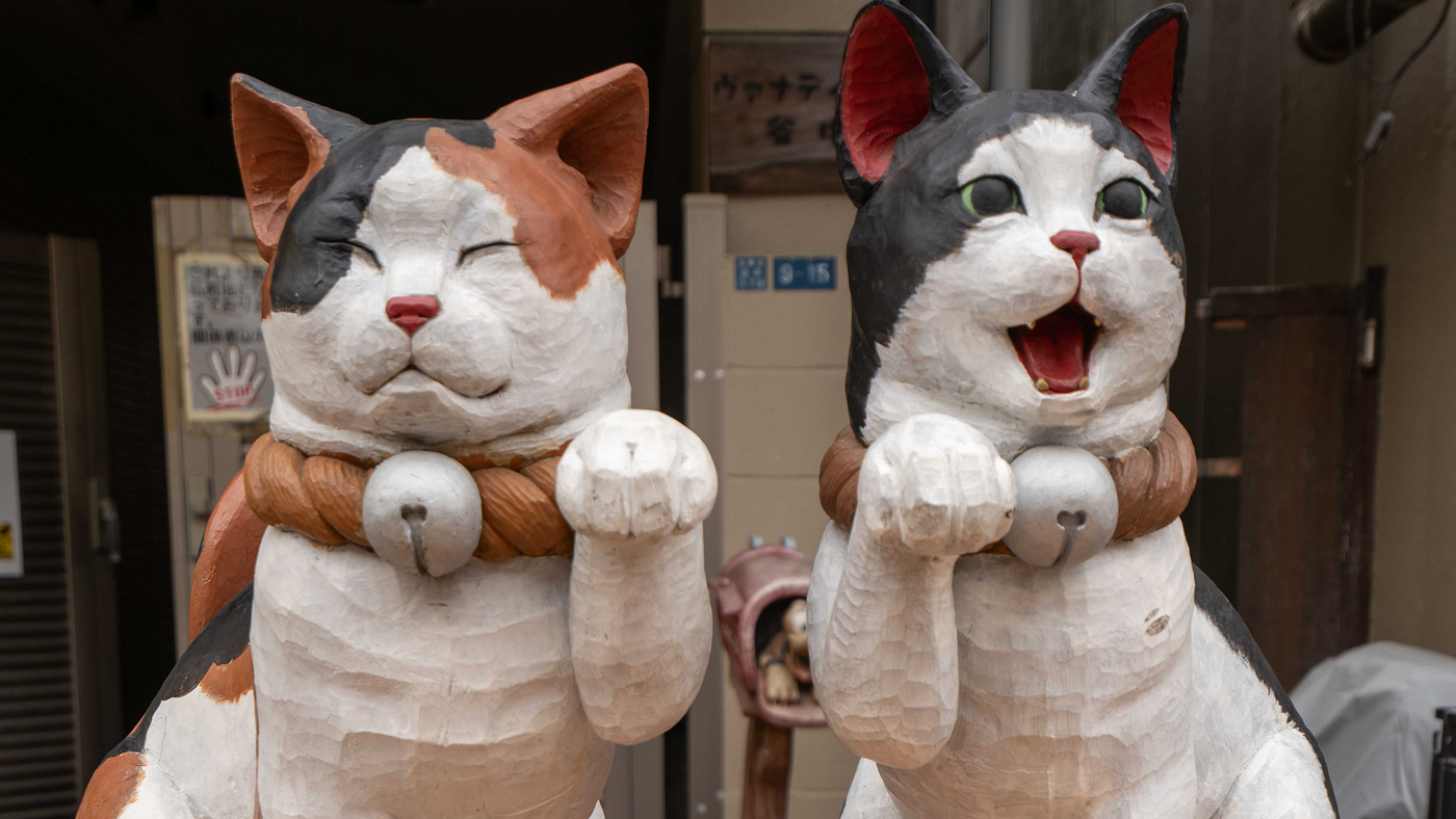 Hidden Gem Shopping in Tokyo: 12 Spots From Japanese Lifestyle Blogs
