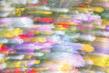 Premium Japan Photo Print — Color in Motion