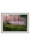 Premium Japan Photo Print — A Blanket of Blossoms