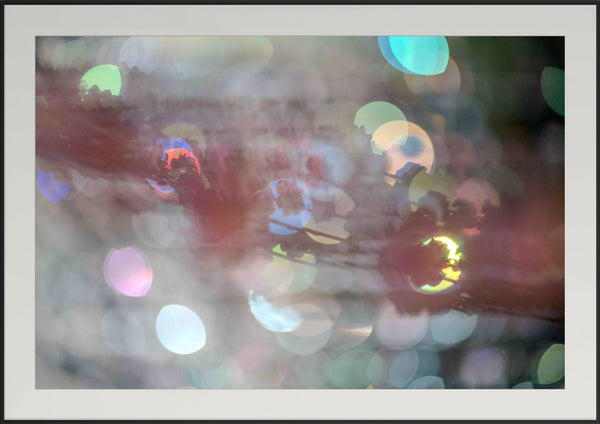 Premium Japan Photo Print — Blurred Blossoms