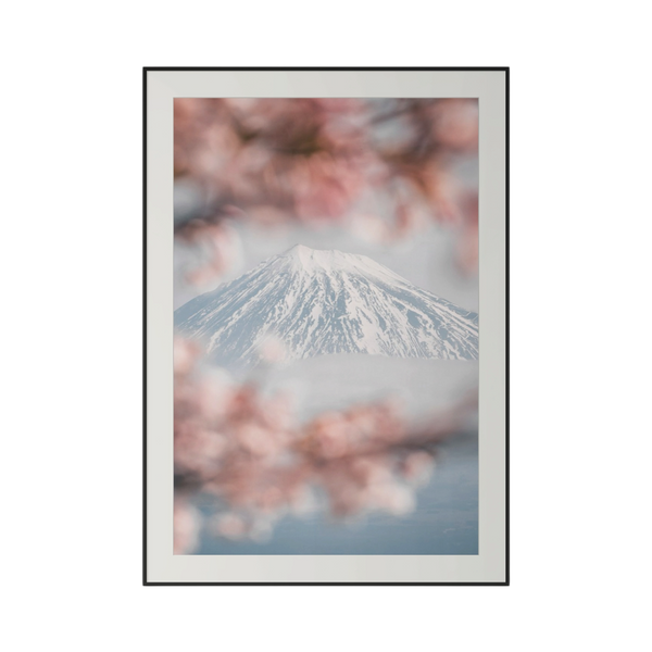 Premium Japan Photo Print — Fuji Sakura