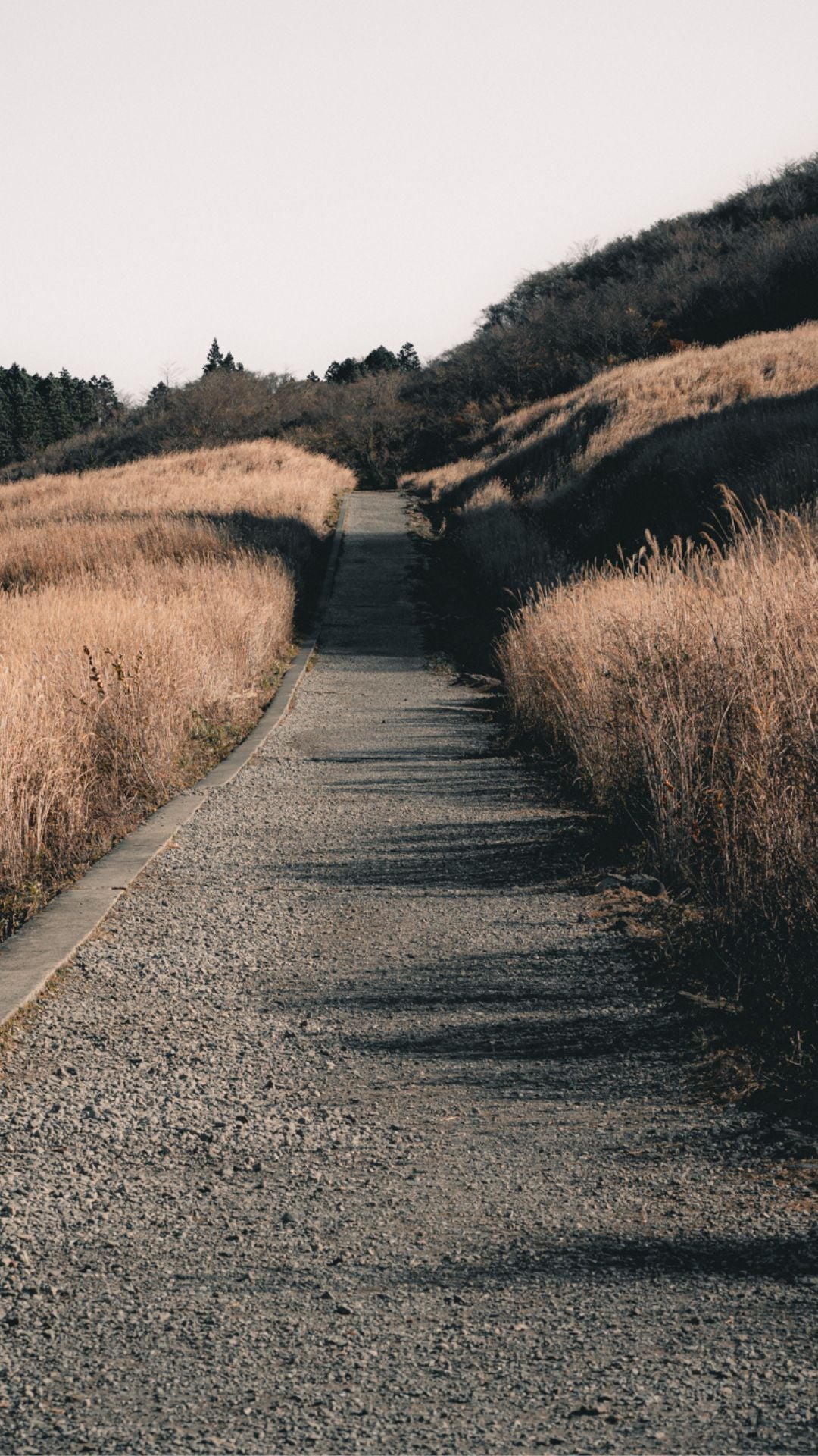 Day Trips from Tokyo — Travel Guide