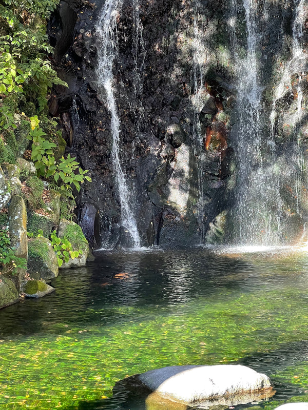 Day Trips from Tokyo — Travel Guide