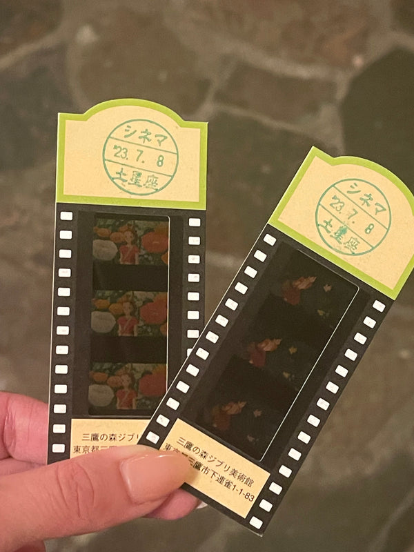 Have some fun at a theme park