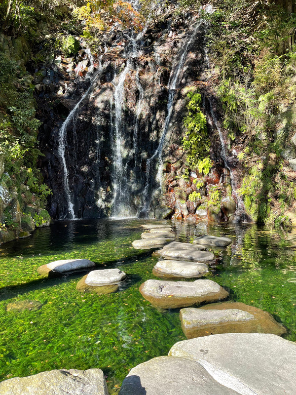 Take a day trip from Tokyo