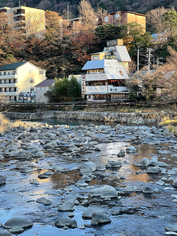 Take a day trip from Tokyo
