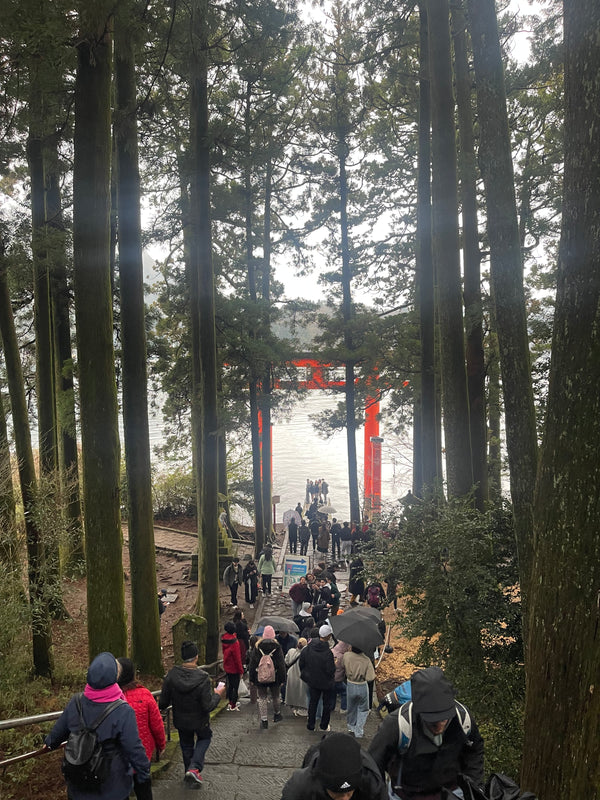 Take a day trip from Tokyo