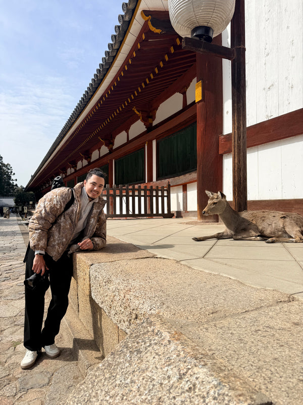 Osaka & Nara — Travel Guide
