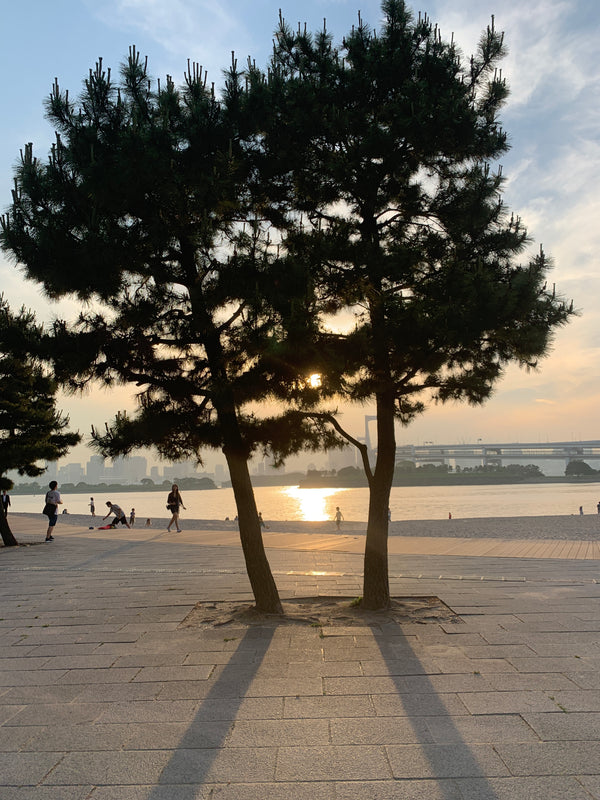 Tsukiji · Odaiba
